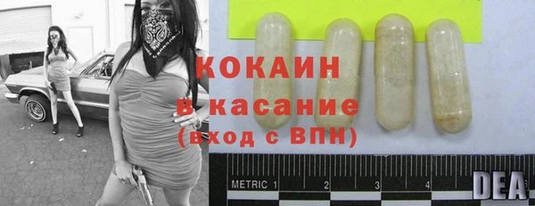 ешки Бородино