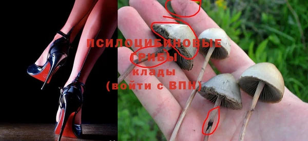 ешки Бородино