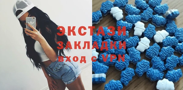 ешки Бородино