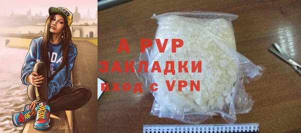 ешки Бородино